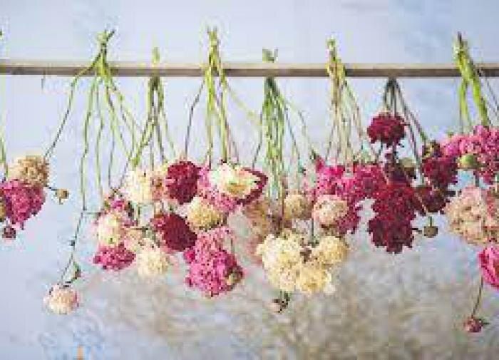 Секреты сушки цветов для вашего дома