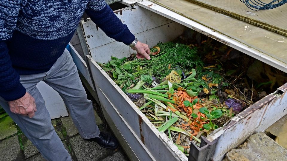 Вы сильно заблуждались насчет больных растений для компоста: ответ агронома многих удивит