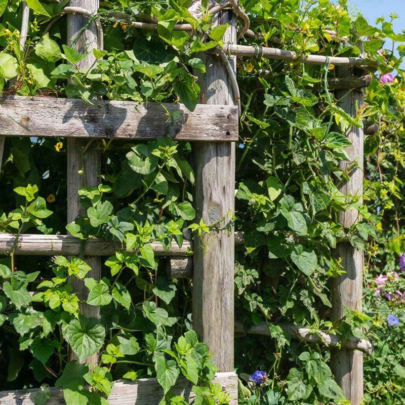 Как соорудить стильные опоры для растений из подручных материалов