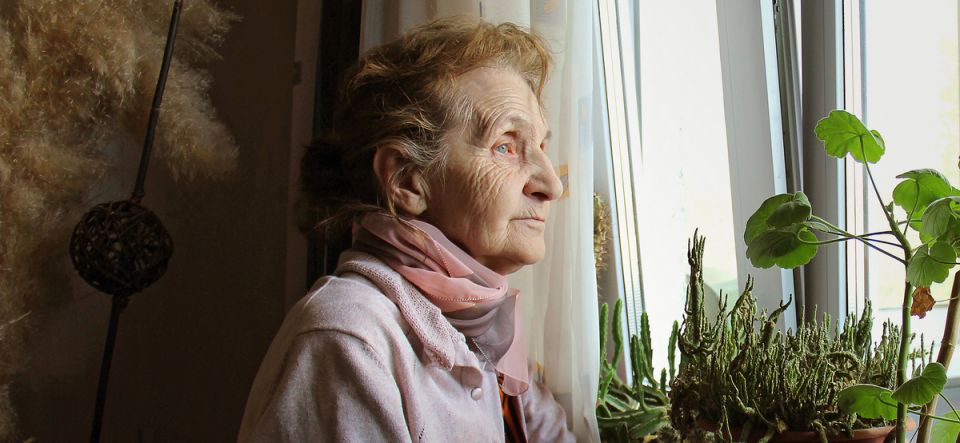 Как бабушка-миллионерша лишилась своего бизнеса на 40 миллионов: Неожиданный поворот в судебной драме