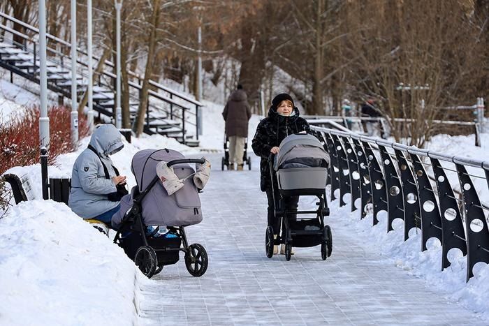 С 1 января 2026 года - новые социальные выплаты