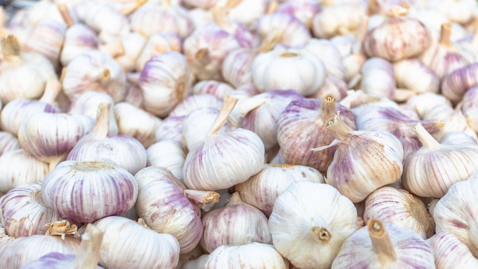 В лунки озимого чеснока надо положить 2 компонента: овощ вырастет крепким и сочным