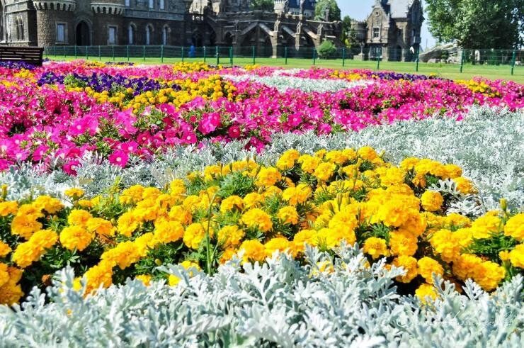 ���������: ����������, ��������� �������