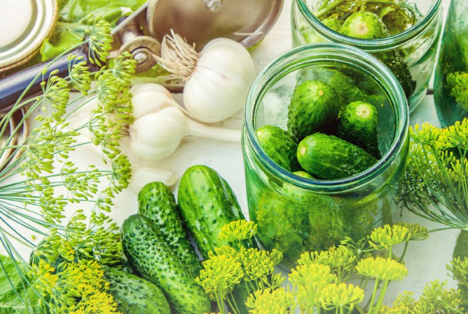 ��������� ���������: �������� ��� ���� ��������� ������ �������