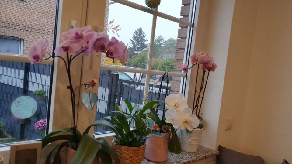 ������� ��������� ����� �� ������������