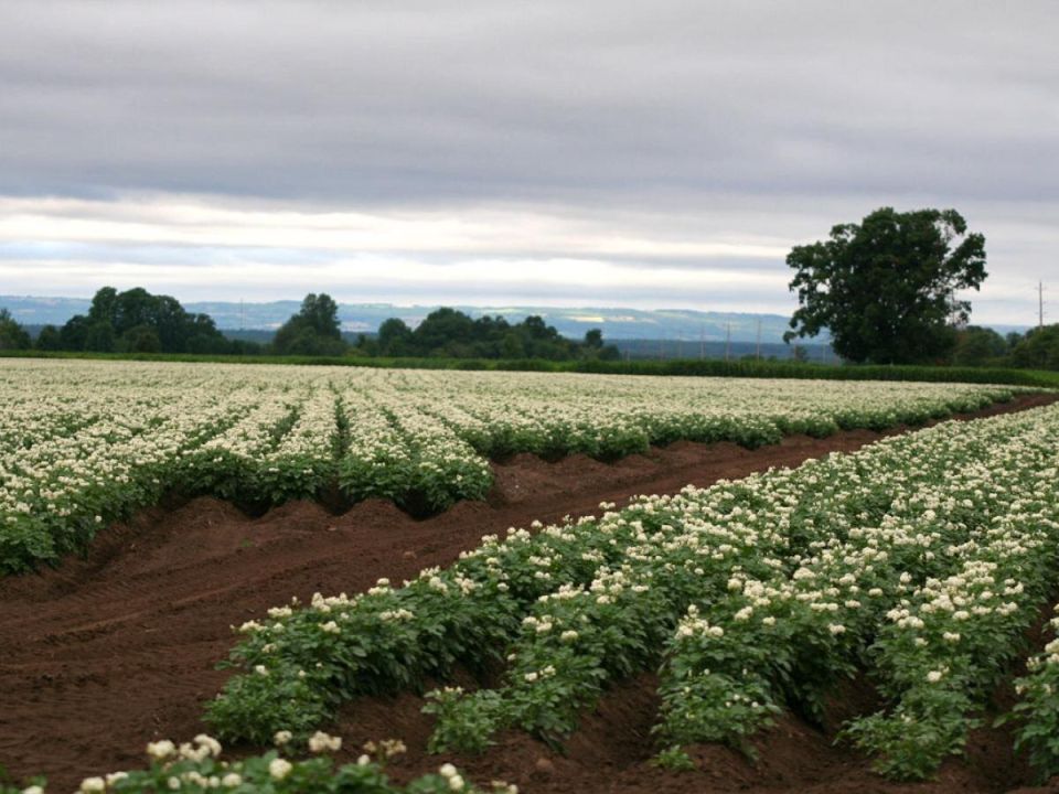 ��� ��� � ������ ��������� ������ ���������: ��� ����� �����