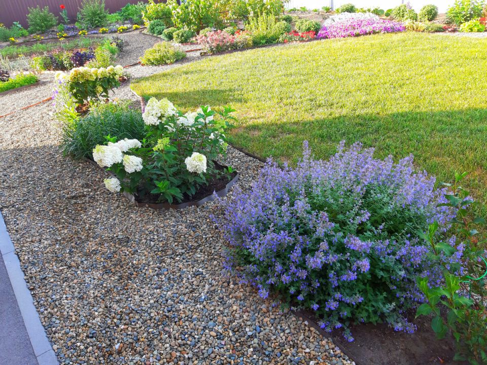 ������: ��������� ������� ��� ��������� ���� �� �������