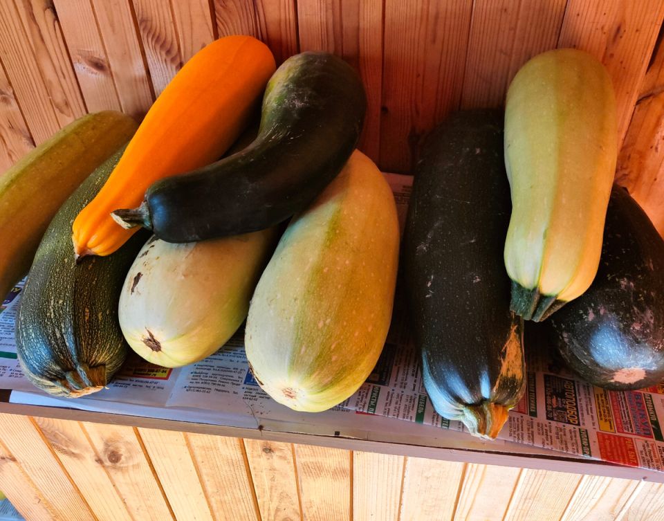 ���������� �������� � �������: ����� ������ � ���������� ������������