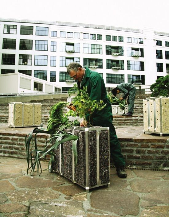 ��������� ���� � ���������: ����� ������ �� ����������� ������