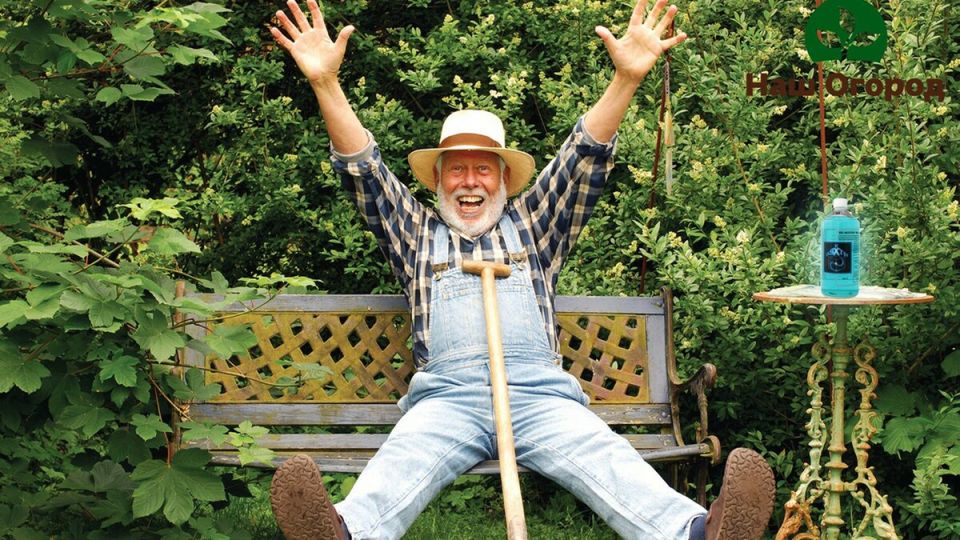 ��������������� ����, ������� ������� �������� � 2026 ����