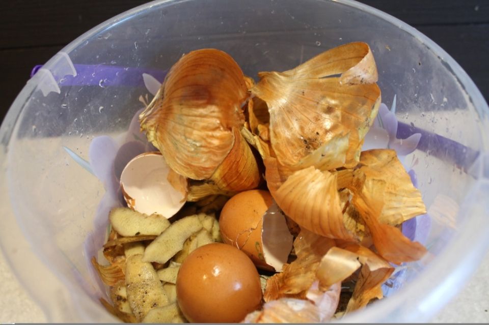 ������ ������: ��� ������������ ��������� ���������������� � ������ ������ � �������� �����������