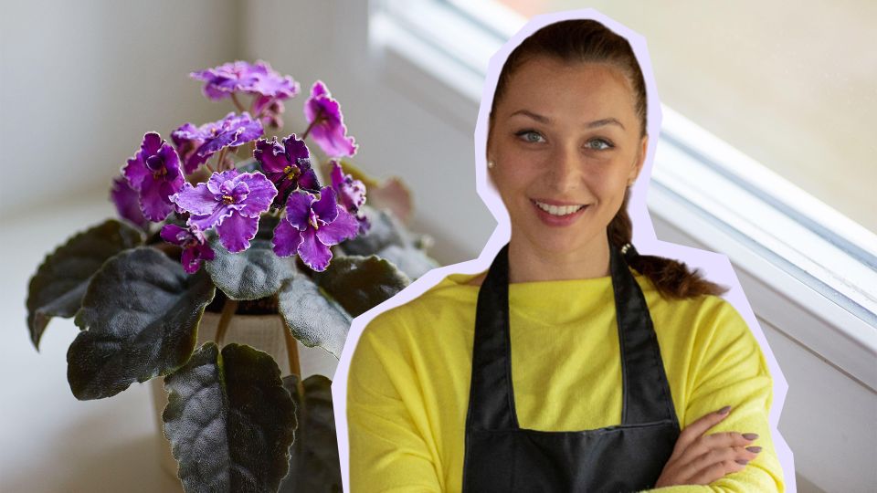 ������ �������� ��� �������: ���� ��������� ���������� ������� ��������