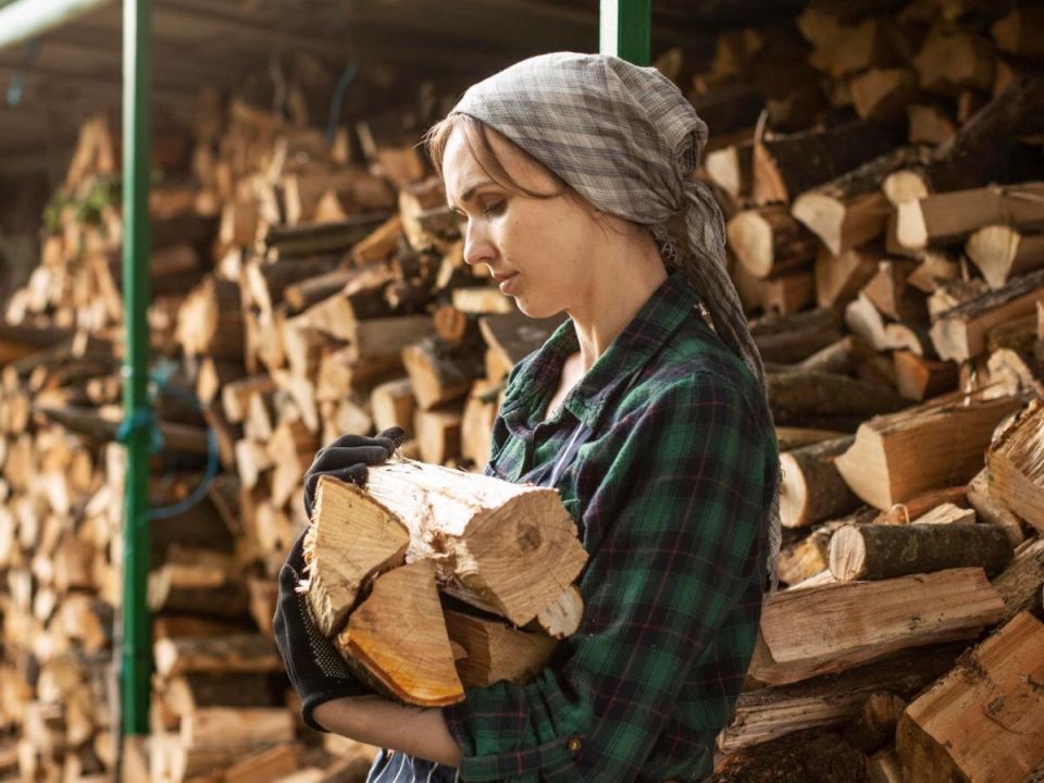 ��� ��������� ��������� �������: �������, ������� �������� ��������� �����