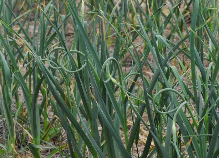 ��������� � ��������: ����� �������� ������� ������������