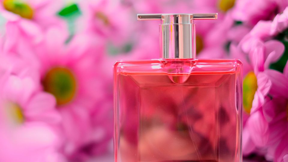 ��� ���������� � ������� � ������ ����: ������ ���� ��������� ������� ������