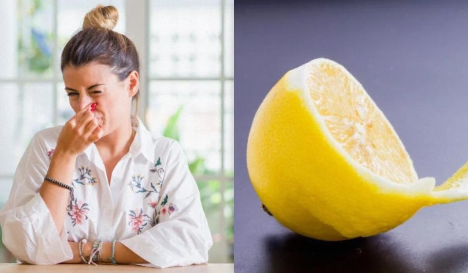 ��� ���������� �� �������� ������ � ����� ����: ������� ������ � �������� ��������