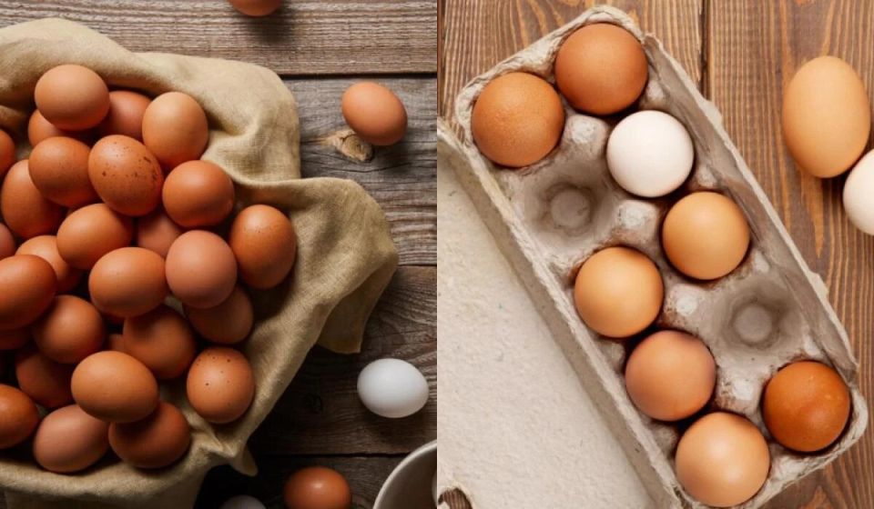 ����� �������� ������� ���: ������ ������������