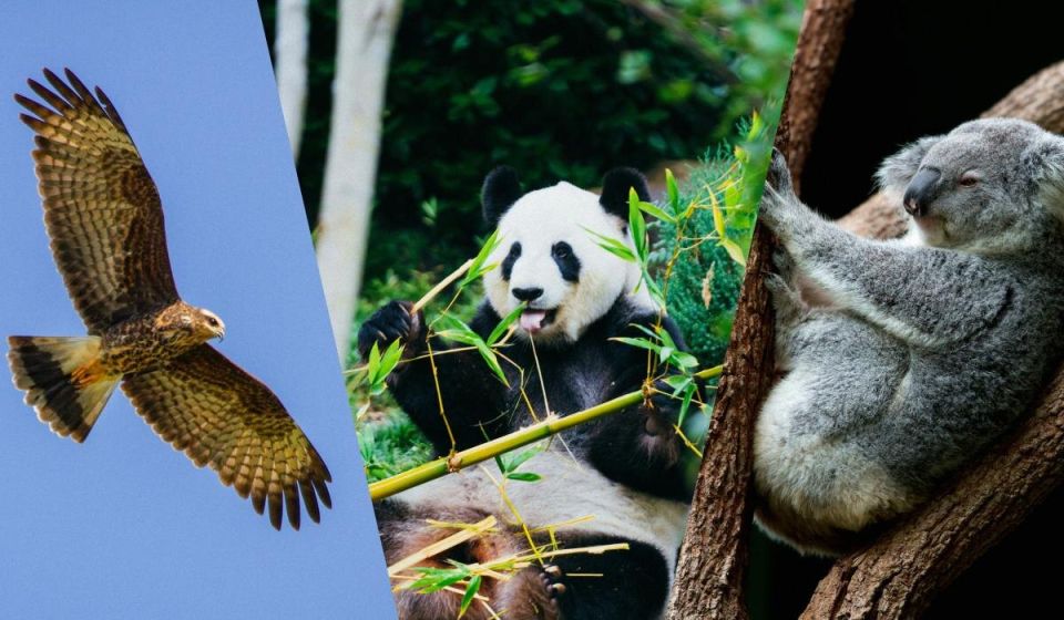 ���� �������� � ���������� �������� �������� ����������