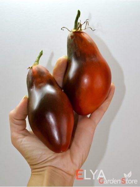 ������� ������ ������: �����, ������� ������� ��� ������