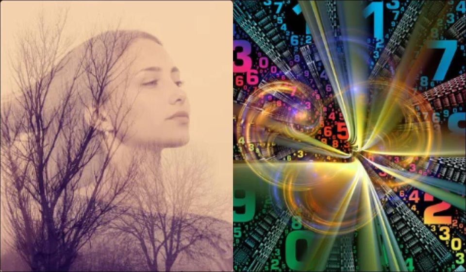 ����, ���������� � ��� ������ ������, �������� ������������ ���������