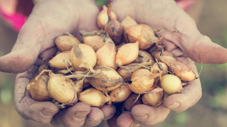 ��� ��������� ����� ���� � ���������� �� ������