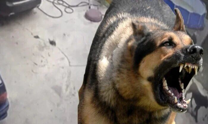 ������� �������� 50 ����� ������ �� ���� ��������� ������