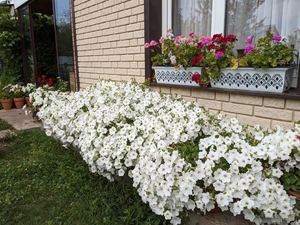 Как пробудить в себе авторское чудовище: истоки и размышления