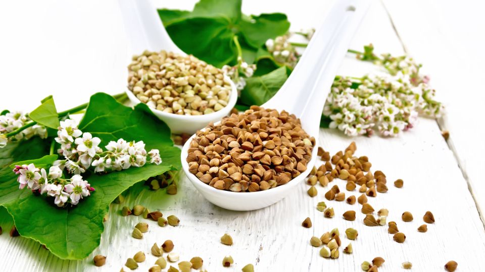 ����� ���� ����� � ���� ������ ������������: ���-����� ������� ������ ����������� ����