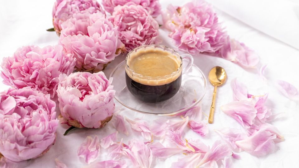 ��� ��� ��������� ���������� ����������� ����: ��������� 99% ��������