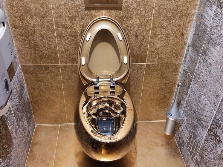 Петербуржцам напомнили о запрете смыва отходов в унитаз