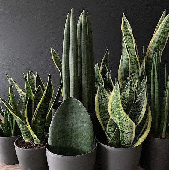 ��������� ����� �����������, ������� ��� ������