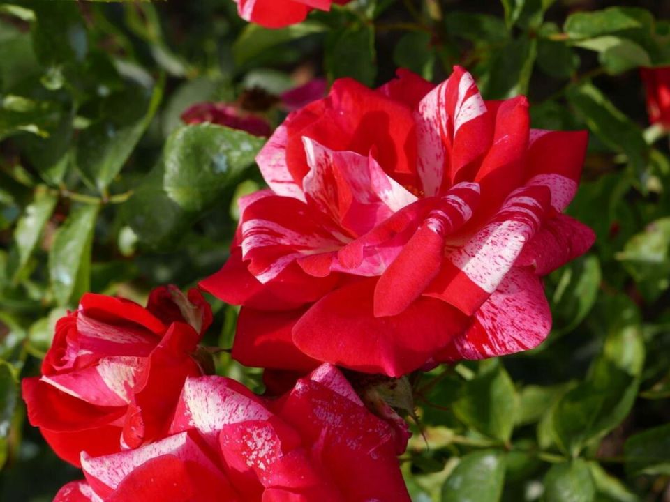 ��� ������, ���� ���� �� �����? ������� � ������ �������