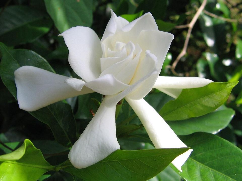 ��� ��������� �������� �����: ������������ ����������� ��� ���������