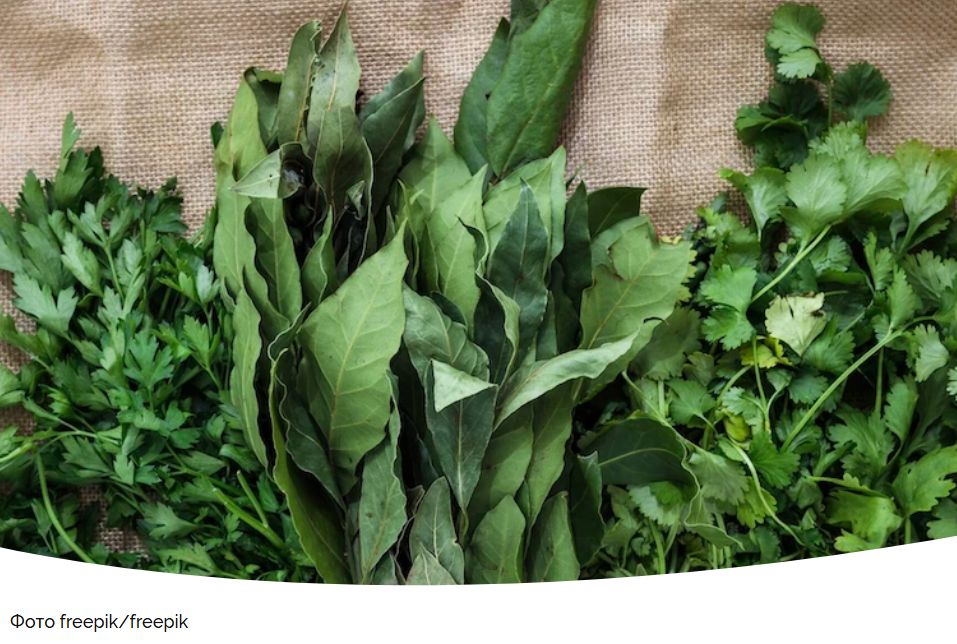 ��� ��������� ������ �� ����: ������� � ����������� ������ ���������