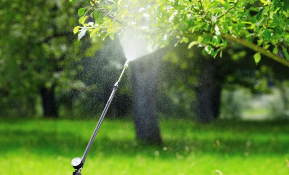 ��� ������� ��������� ������������� ��� ����: ����� ���������� ��� ����������� ���������