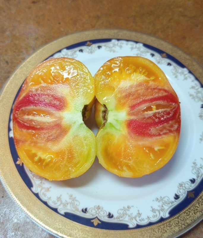 ����� ��������� �����: �������� �� ����� �������