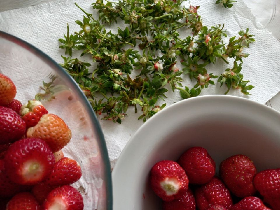 ������ ����� ��������. ��������, �� ������������� ��� ���������