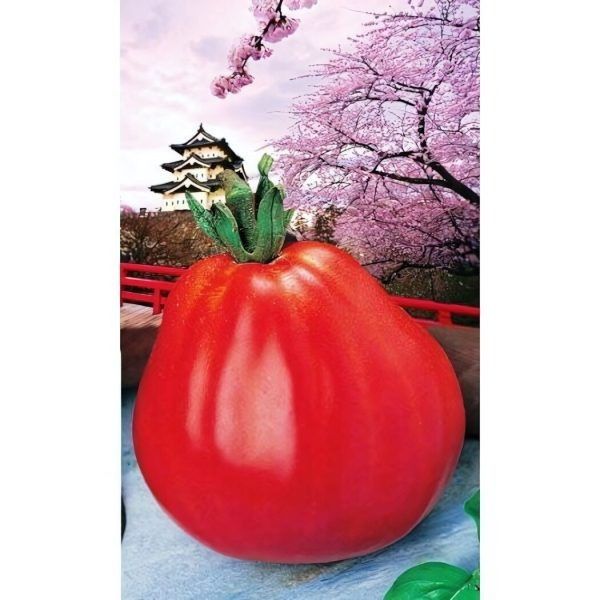 �������� ������� �������: ����� ��� �������� ��������