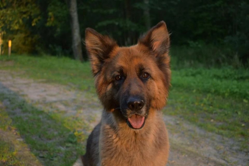 ���� �����: ���� � ����������