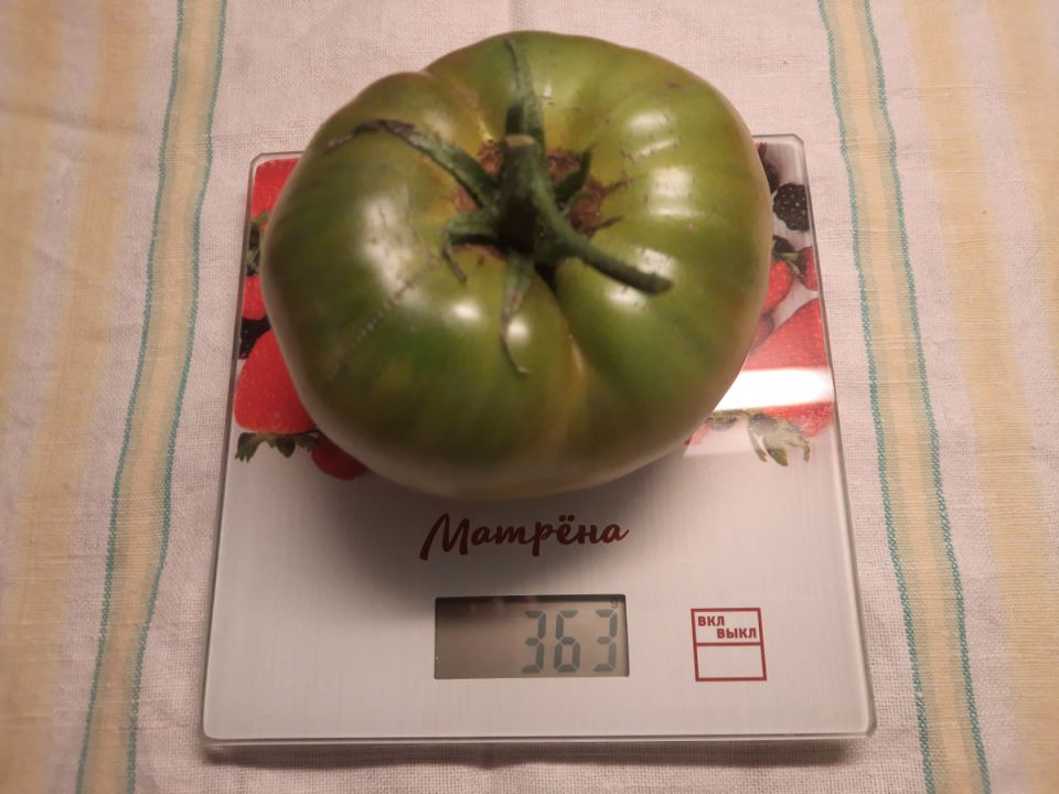 ������ ������� ������ ����������� ��������? ����������� � ��������