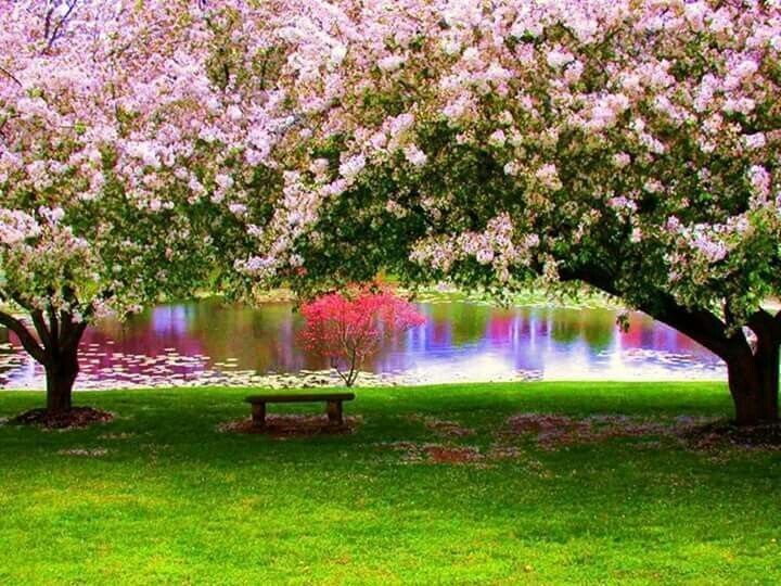 ���������� � ������: ��� ���������� �� ��������