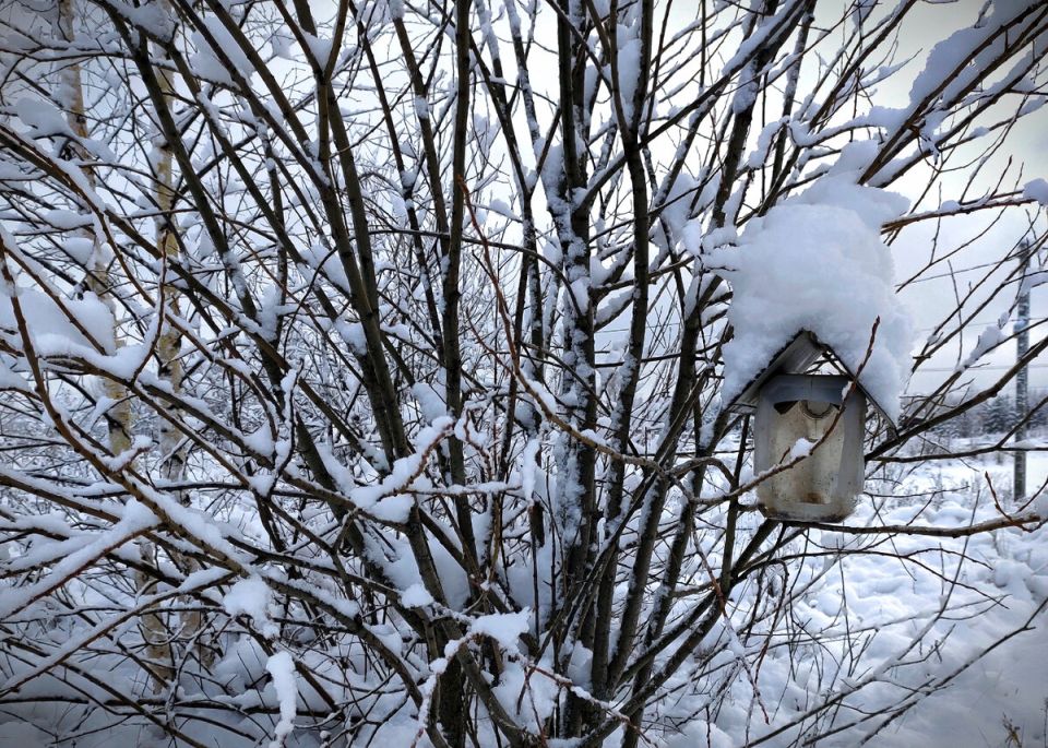 ������ ������: ��� �������� ������������ �������� �� �������