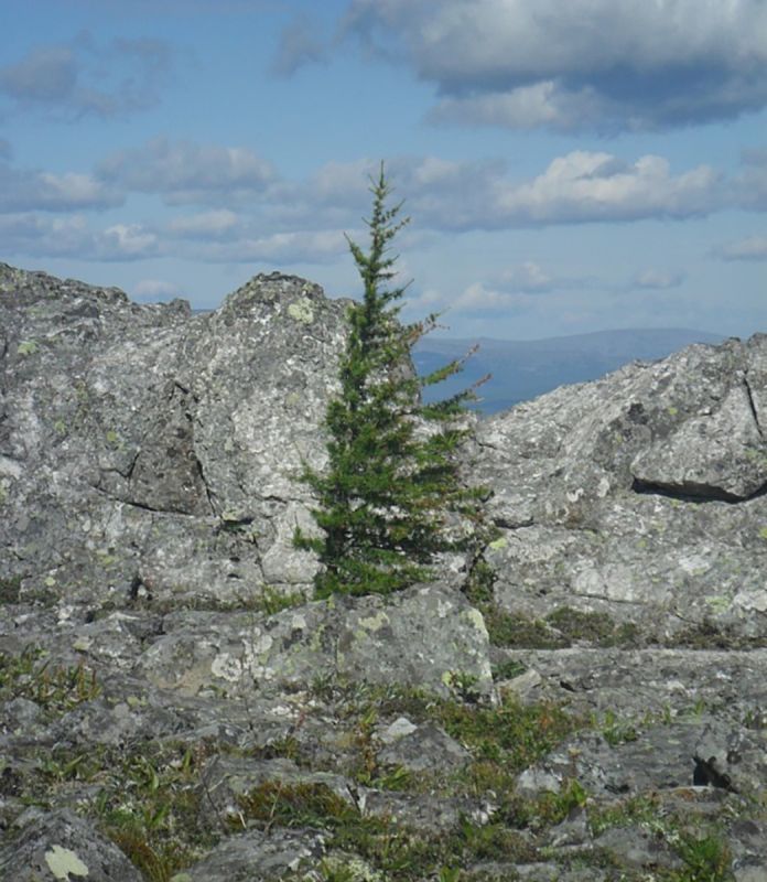 Заповедники на пересмотре: как Минприроды хочет защитить 12% земли и что это поменяет у вас