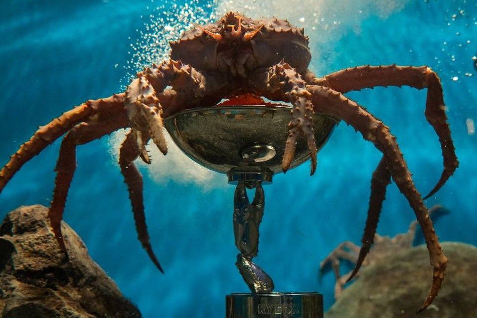 ��� ����� ����������� ����������� ����� ����������� ���������� �����