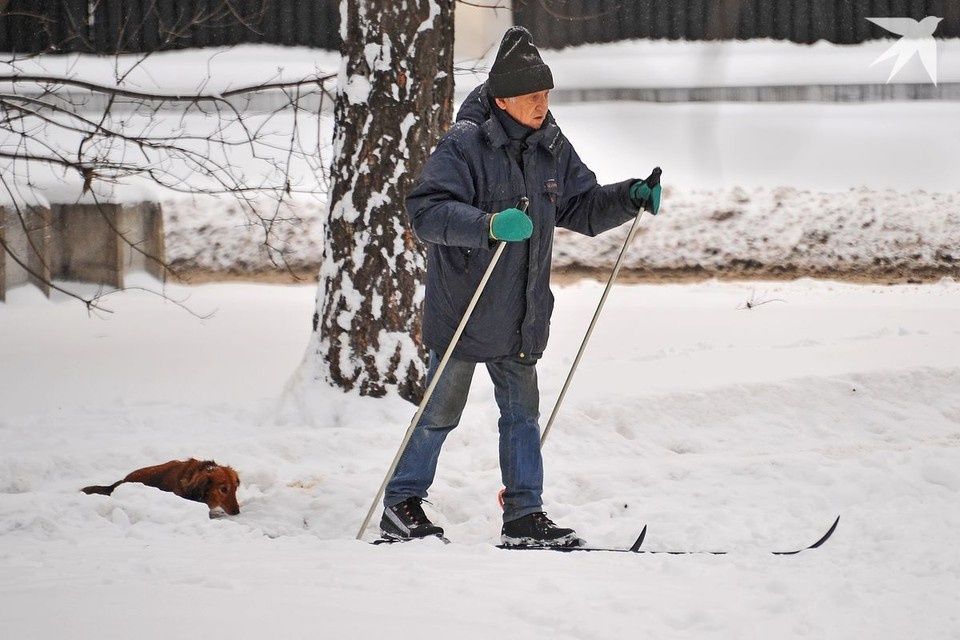 Как именно увеличатся доплаты к пенсиям в 2026 году: неожиданное решение для пенсионеров