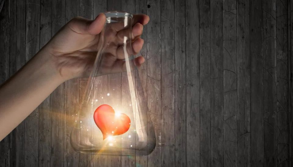 ������, ������� �������� ������ � �����: ������� ������� ������� ����