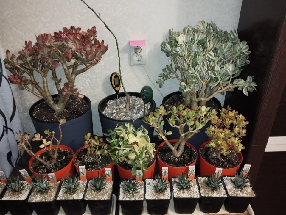 ���������� ����� �����������: �������� ������ � ����