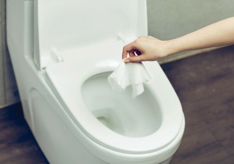 Что на самом деле стоит смывать в унитаз: мнение экспертов