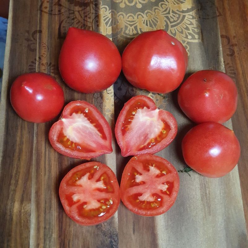 ����� '������� �������': ��������� ����� ��� �������� ���������