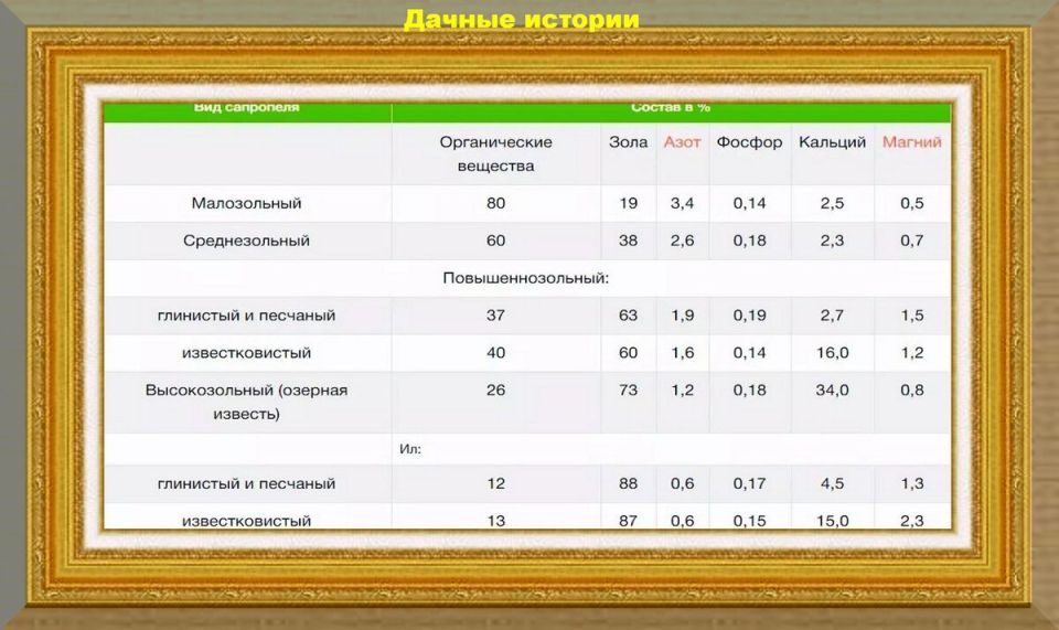 Сапропель: сокровище для вашего огорода